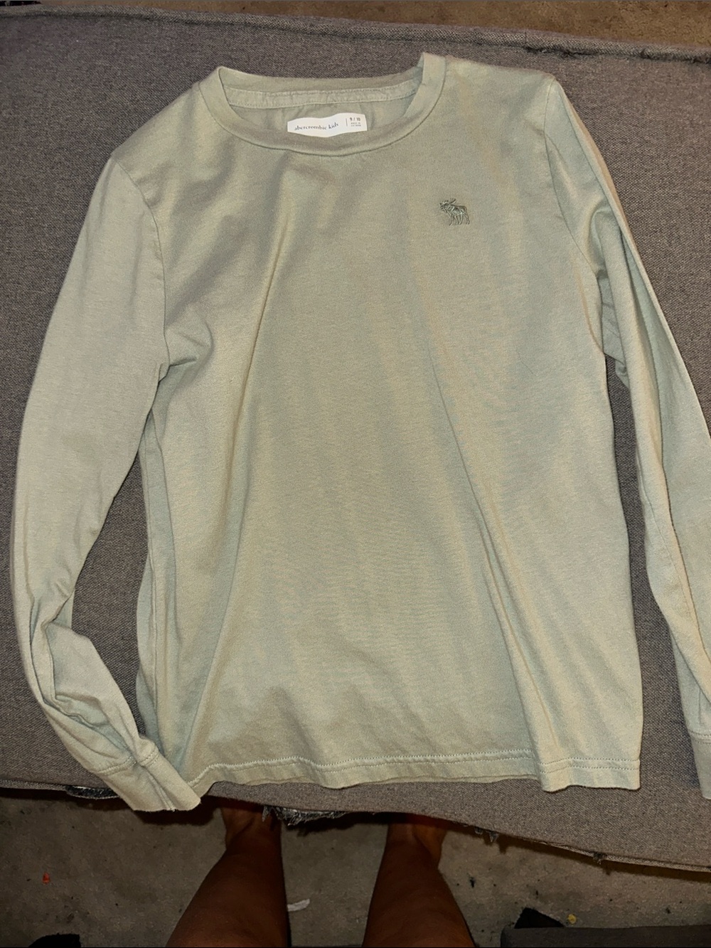 Abercrombie & Fitch Men's Long Sleeve Crewneck in Sage